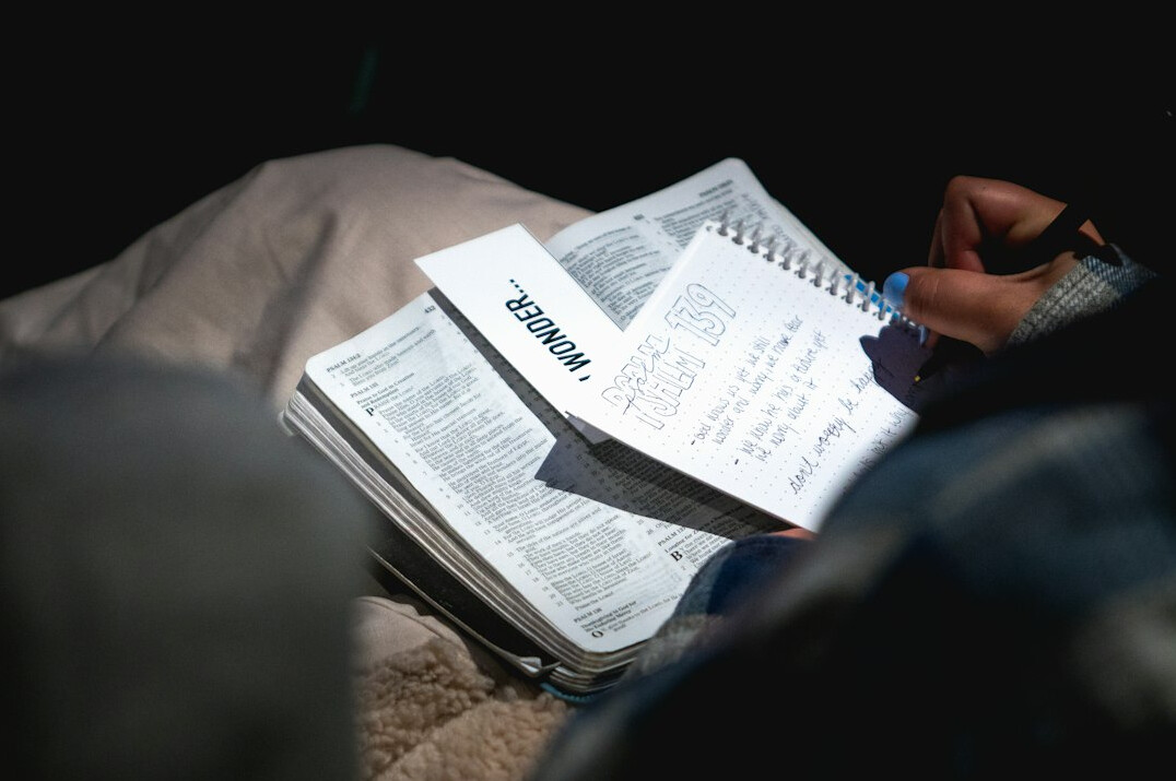 person reviewing journal notes