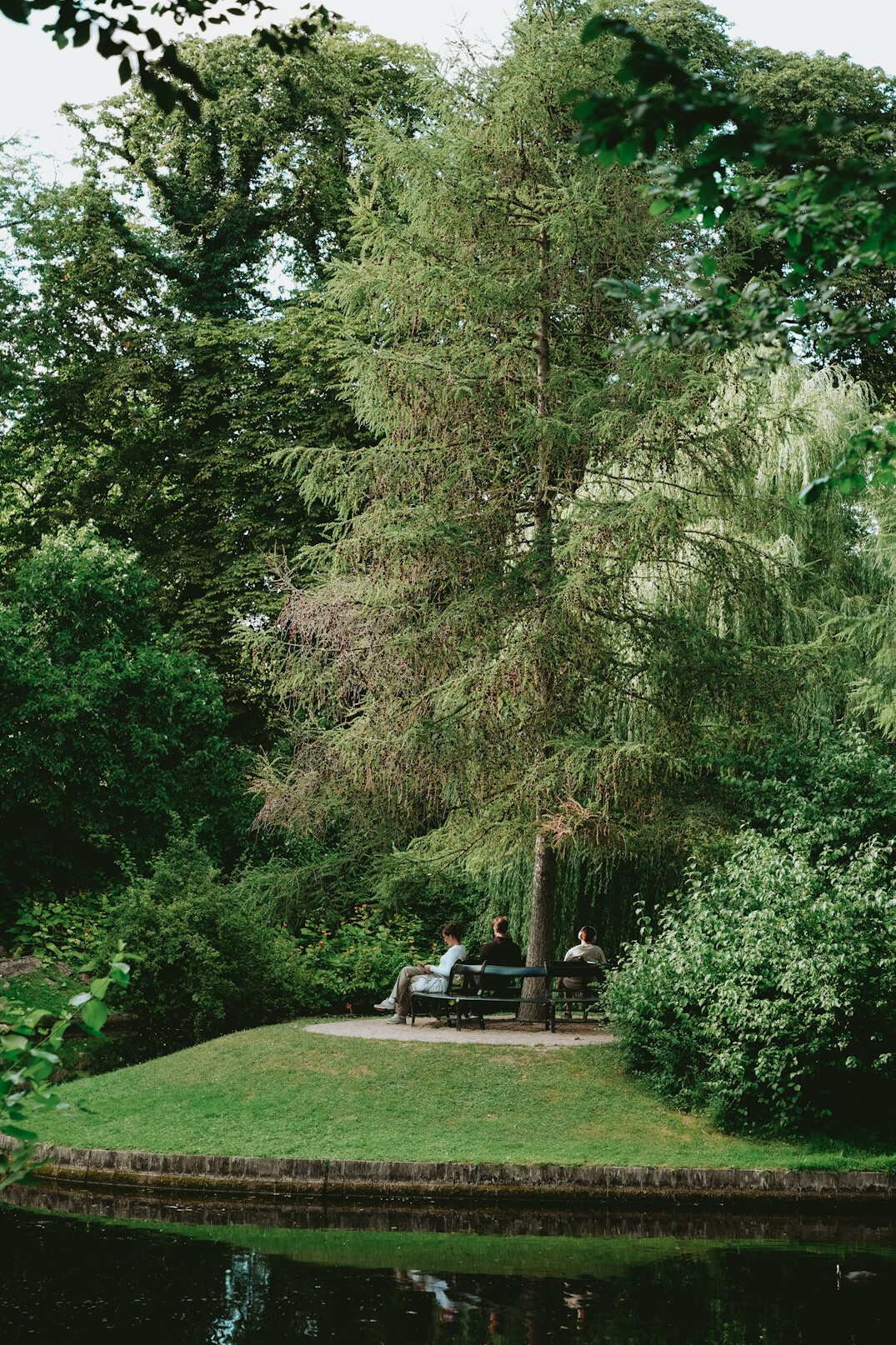 Person reading a book outdoors on a park bench